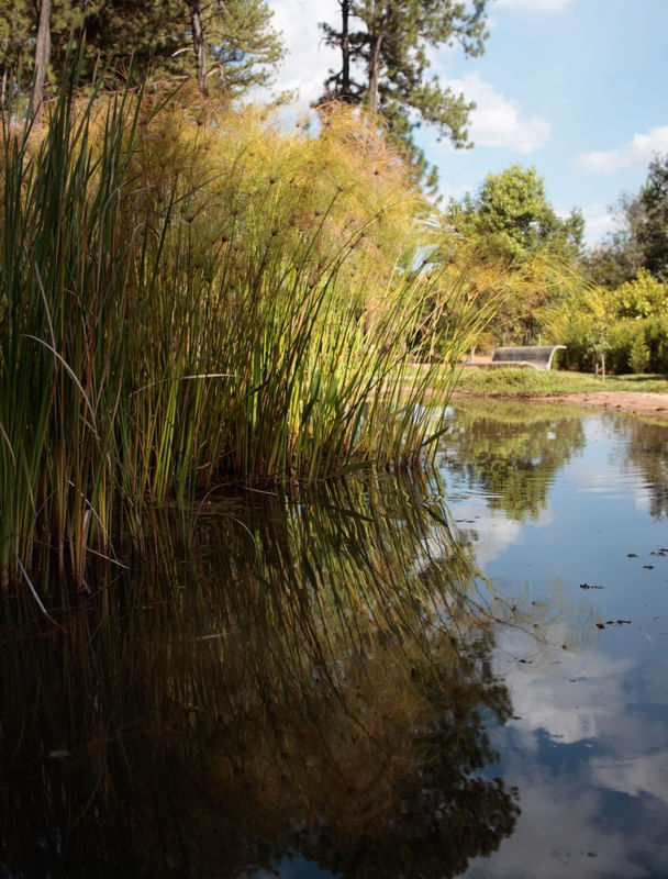 REFLEXO PARQUE