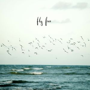 FLY FREE II
