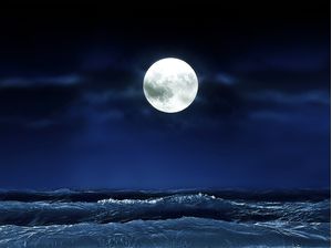 MOON LIGHT