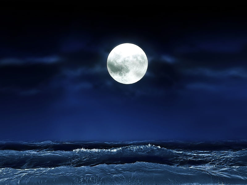 MOON LIGHT