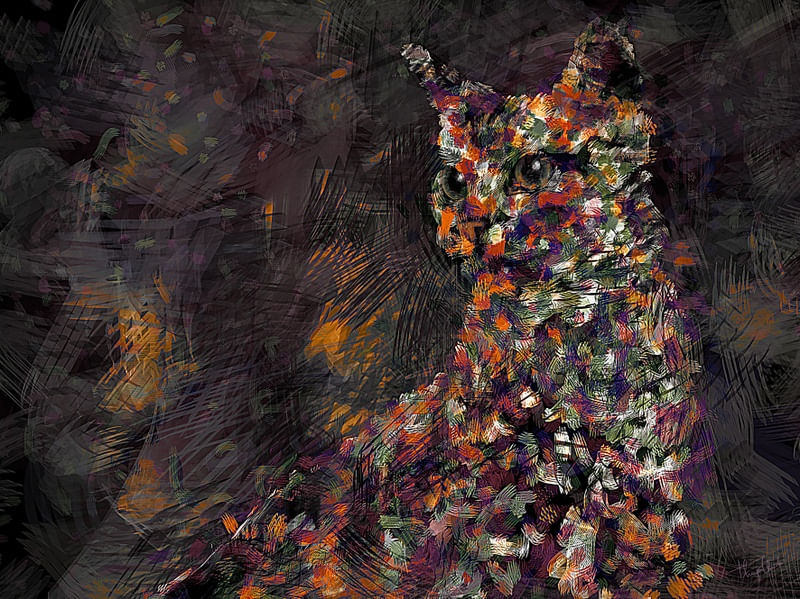 GATO ABSTRATO COLORIDO