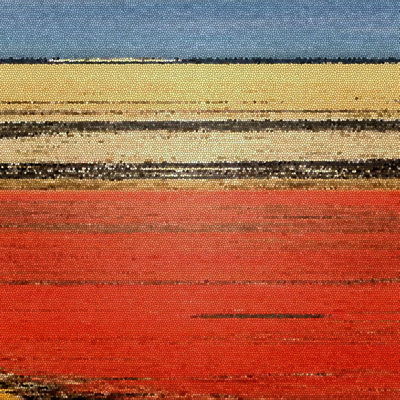 YELLOW HORIZON SQUARE