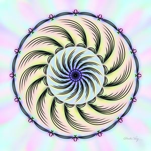 MANDALA HURRICANE COLORIDA