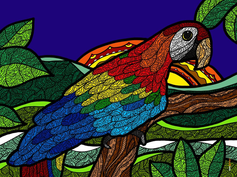 ARARA DO BRASIL