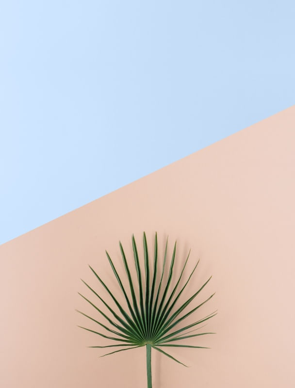 FOLHA TROPICAO EM FUNDO AZUL E ROSA