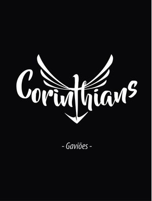 TORCIDA GAVIÕES