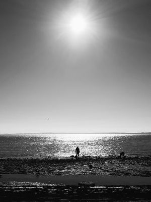 TEJO