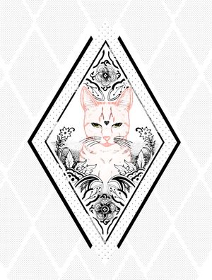 THE PINK CAT