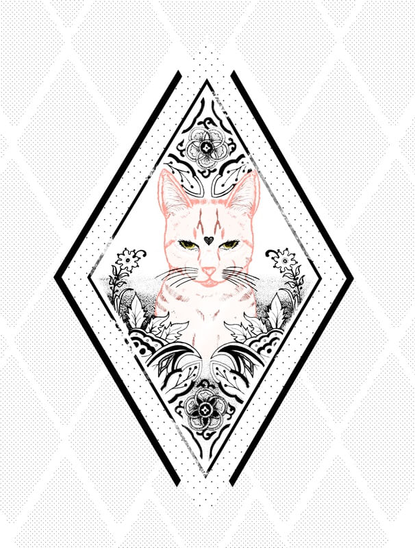 THE PINK CAT