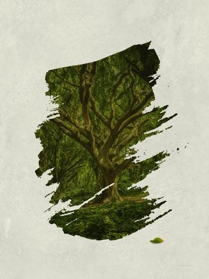 OUTSIDE LEAF.
