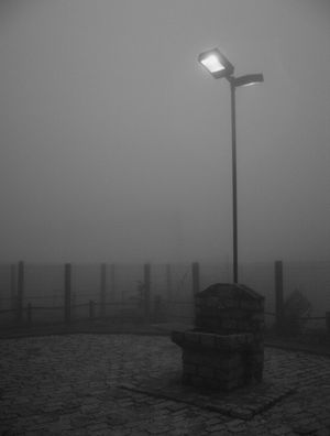 DENSA NEBLINA