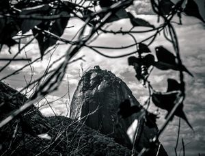 SUGARLOAF
