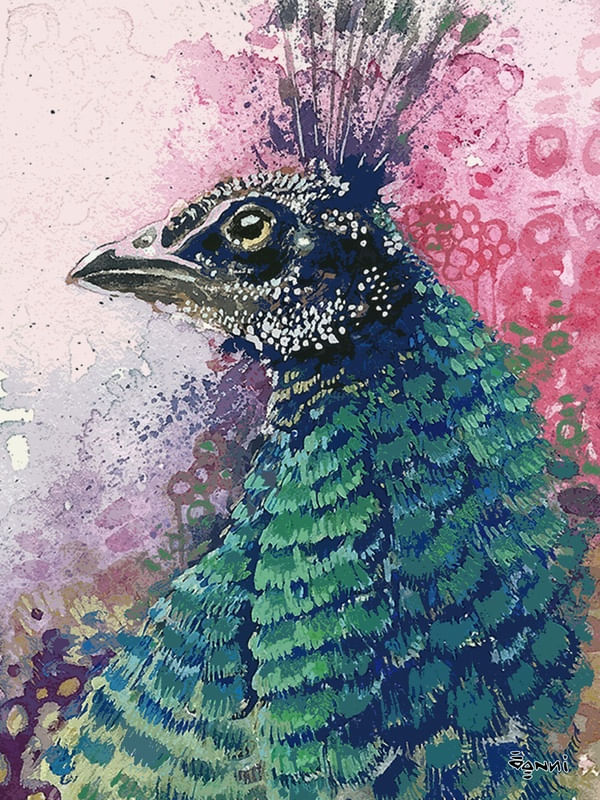 PAVOA