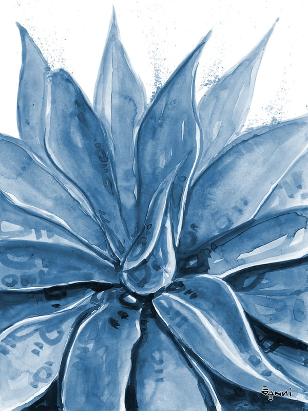 AZUIS IV