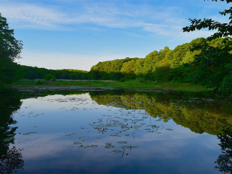 LAGOA EM JARINÚ