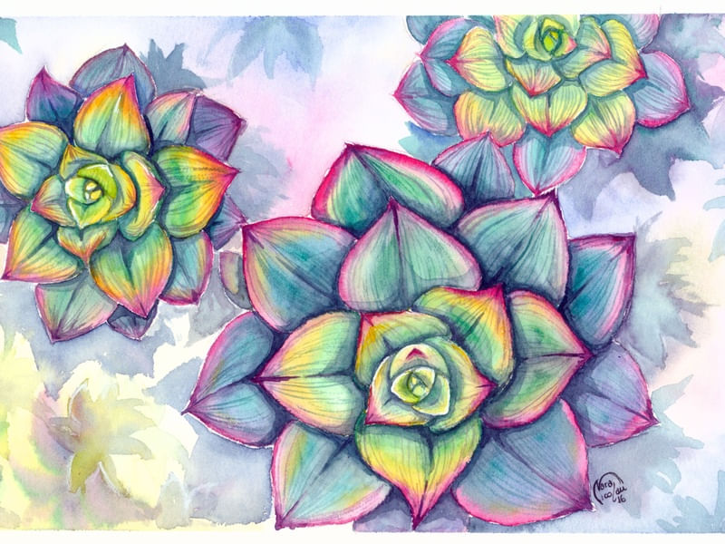 SUCULENTAS EM AQUARELA