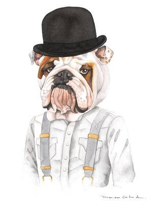 BULLDOG ALEX