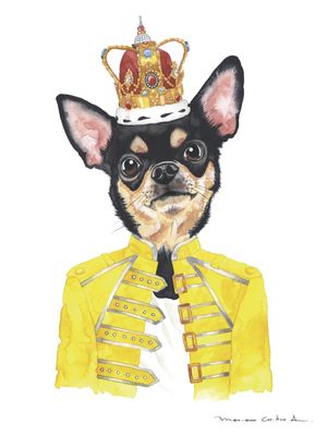 CHIHUAHUA MERCURY AQUARELA