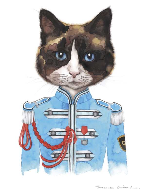 MCCARTNEY CAT