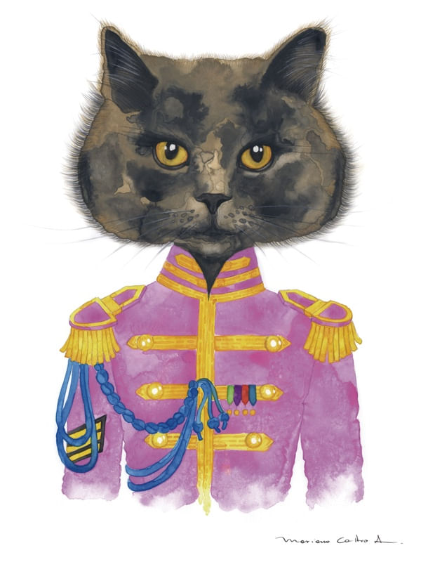 STARR CAT