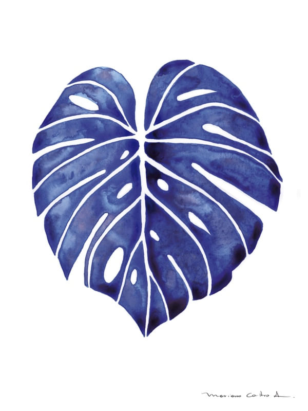 FOLHA TROPICAL AZUL