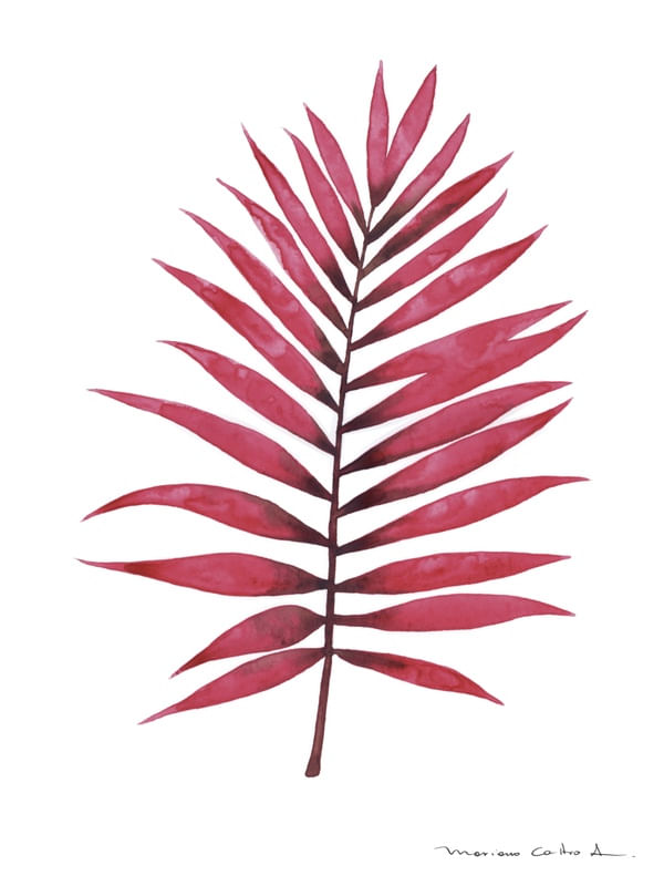FOLHA TROPICAL VERMELHO
