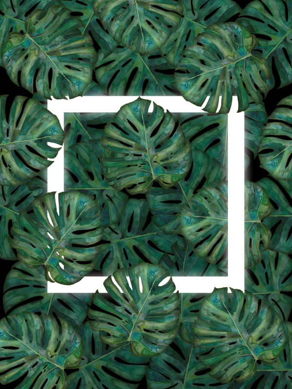 SQUARE IN THE LEAVES 001