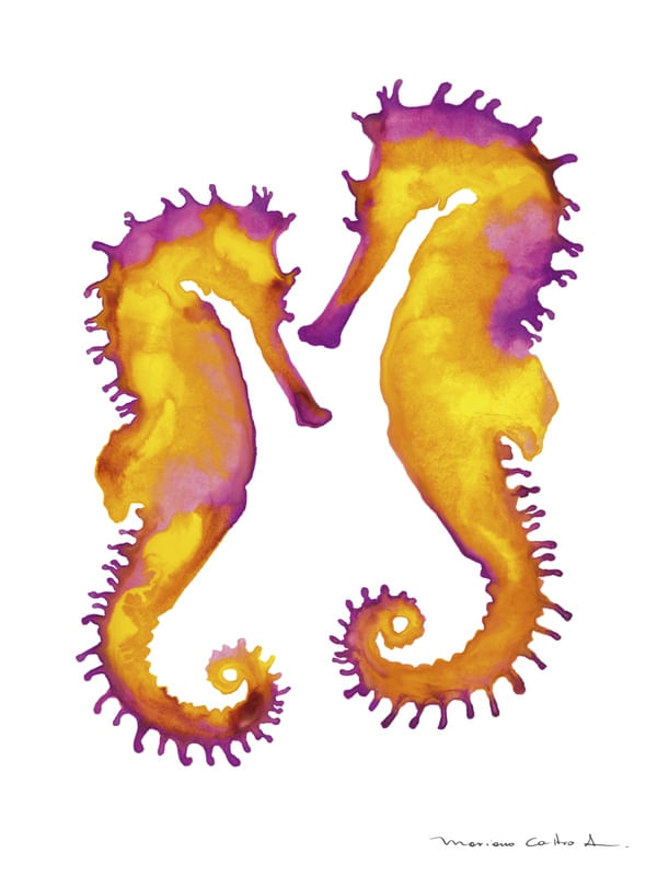CABALO MARINHO AQUARELA 1