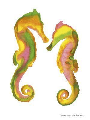 CABALO MARINHO AQUARELA 2