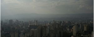 SELVA DE PEDRA - 8 [---]