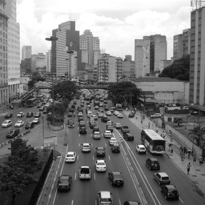 SELVA DE PEDRA - 6 [ ]