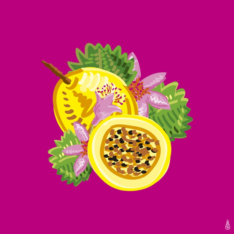 FLOR DO MARACUJÁ I