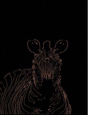 ZEBRA COUNTER FORM