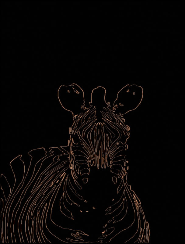 ZEBRA COUNTER FORM