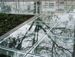 REFLEXO, TERRA E ÁRVORE