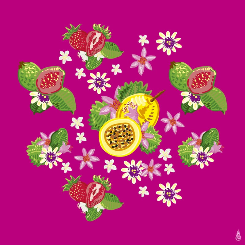FLOR DO MARACUJÁ II