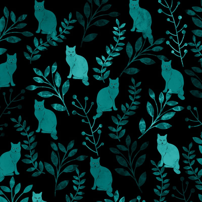 FLORAL AND CAT I ?