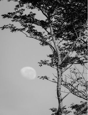 LUAR AO AMANHECER