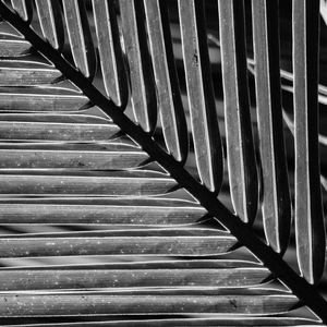 FOLHAS DIAGONAIS 2