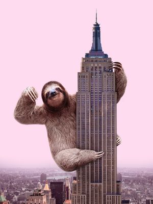 KING SLOTH
