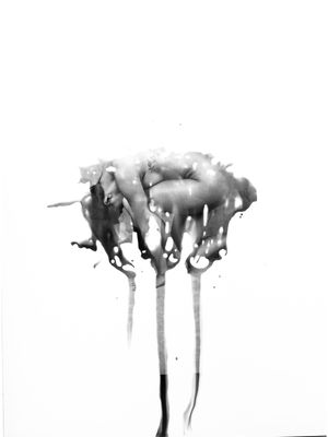 PICTORICO 01