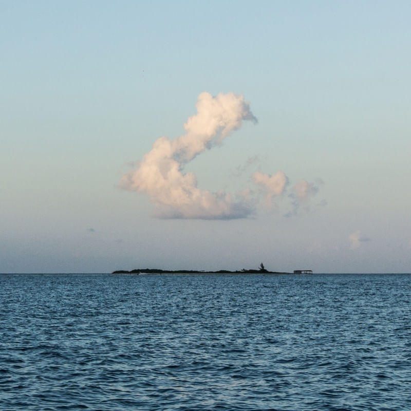 9954 ILHA