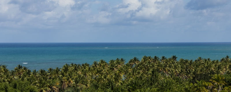 9851 COSTA