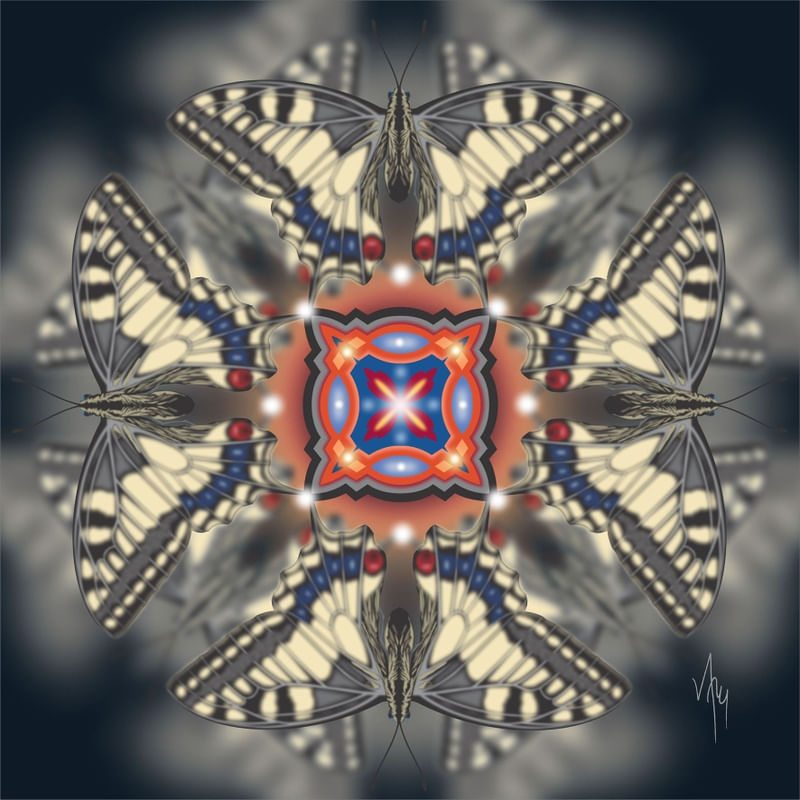 MNDLA 1