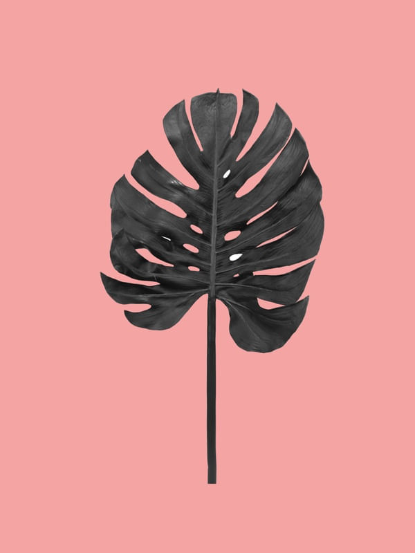 PINK NATURE 4