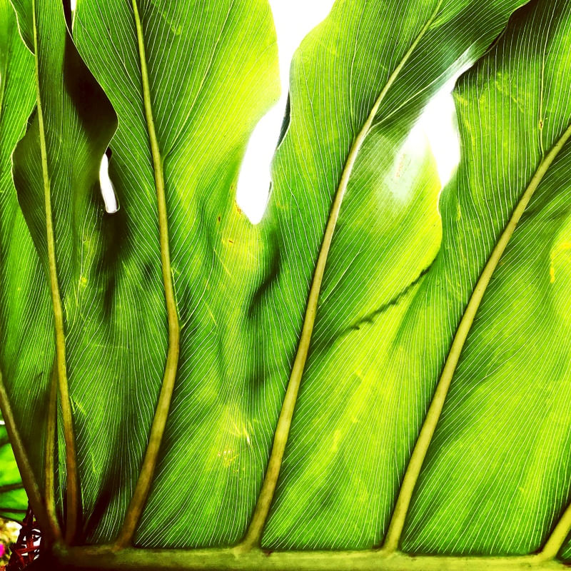 #NATURELOVER #1