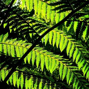 #NATURELOVER #2
