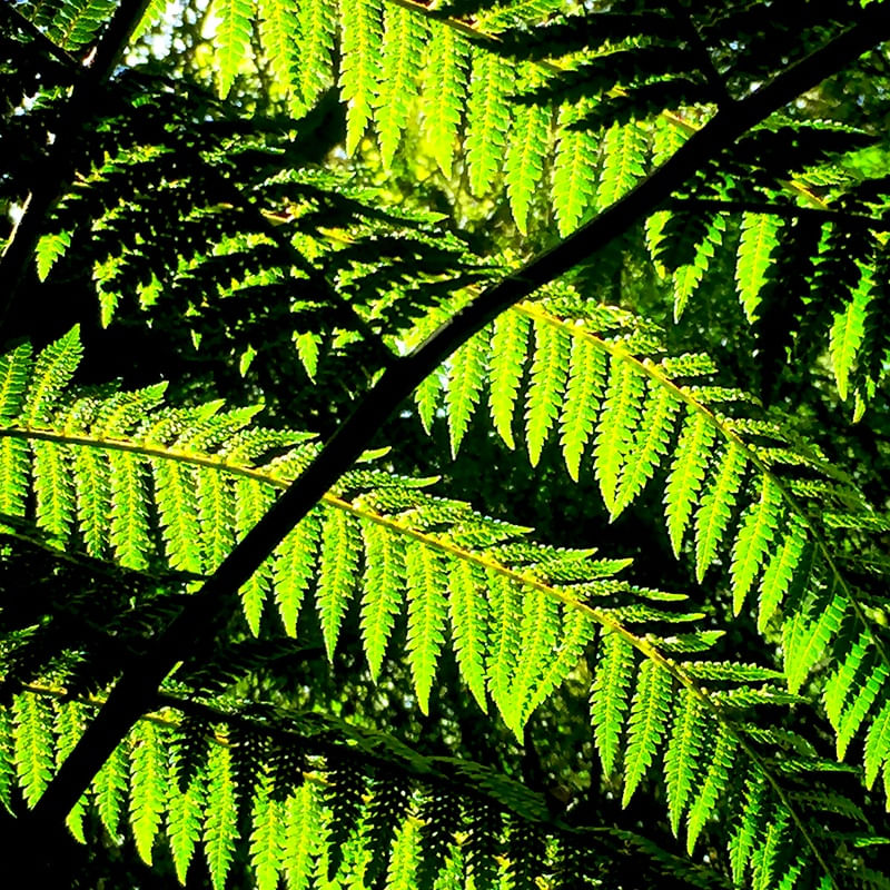 #NATURELOVER #2