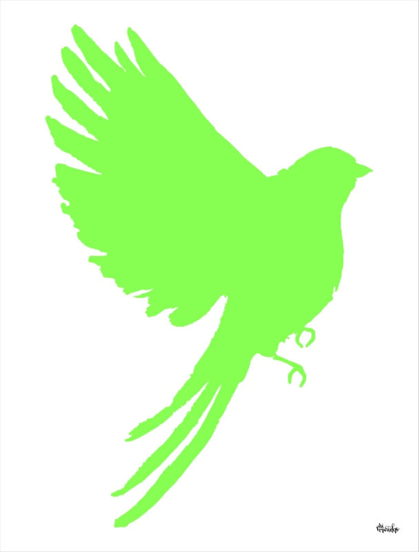 TROPICAL BIRD VERDE