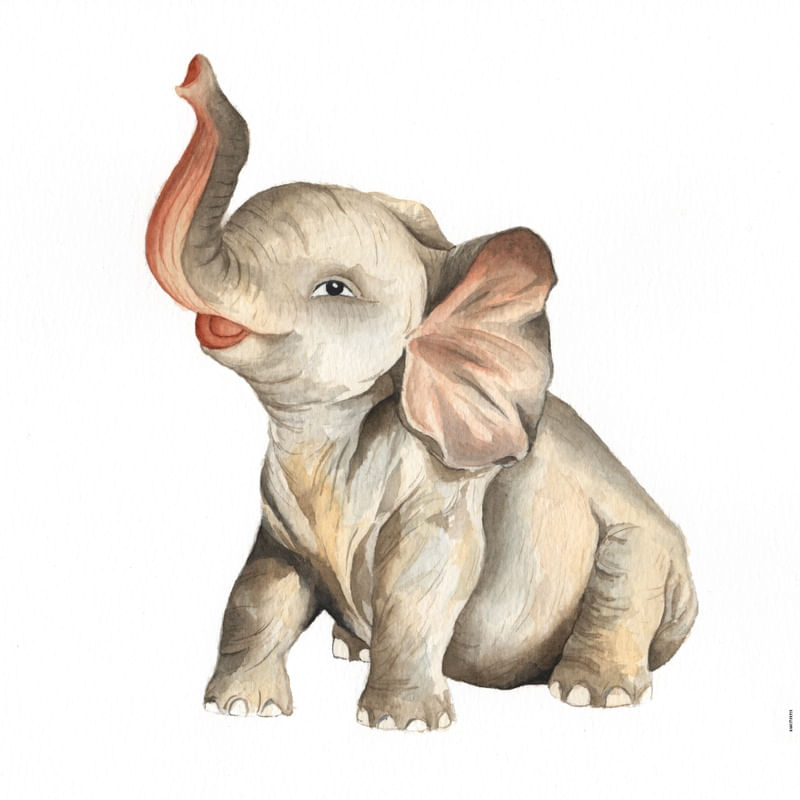 FILHOTE DE ELEFANTE - AQUARELA